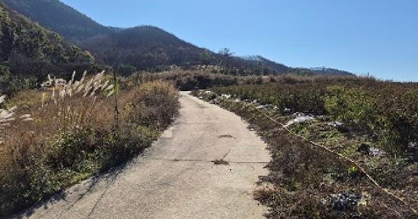 경상북도 의성군 단촌면 구계리 506 전 경매 물건 이미지