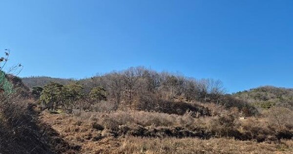 경상북도 의성군 비안면 화신리 898-2 전 경매 물건 이미지