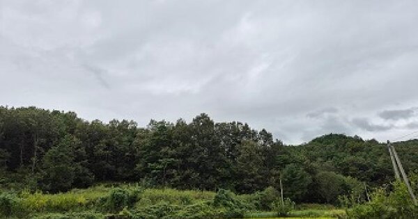 경상북도 의성군 단밀면 생송리 566-1 답 경매 물건 이미지