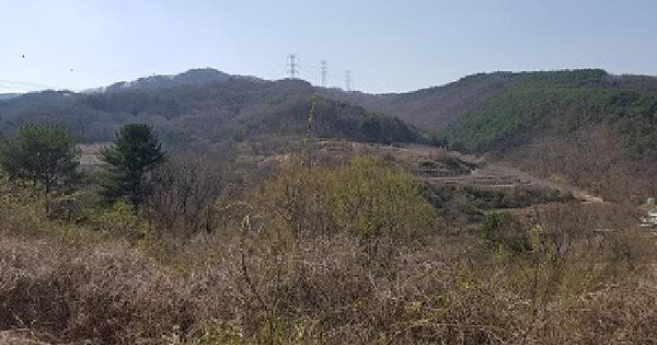 경상북도 청송군 현동면 월매리 254 전 경매 물건 이미지