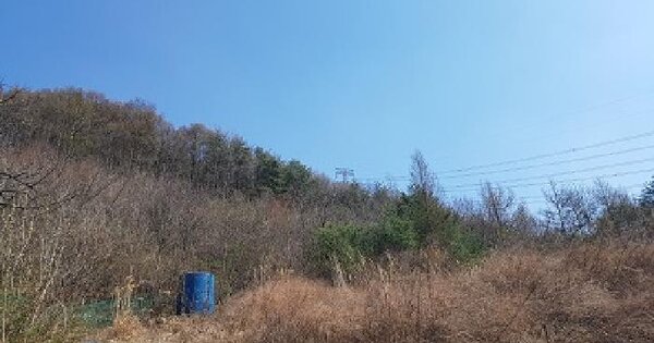 경상북도 청송군 현동면 월매리 239 전 경매 물건 이미지