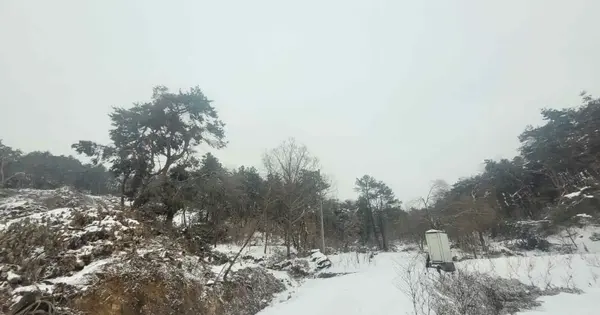 경기도 여주시 대신면 장풍리 산83 임야 경매 물건 이미지