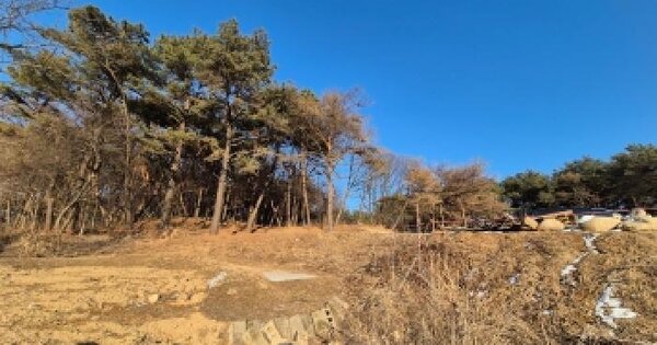 경기도 포천시 일동면 기산리 341-1 전 경매 물건 이미지