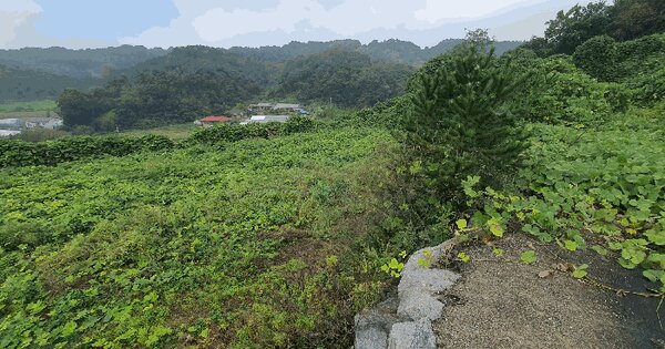 세종특별자치시 장군면 송학리 440-20 임야 경매 물건 이미지