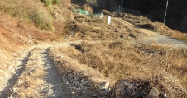 대구광역시 달성군 유가읍 가태리 59 대지 경매 물건 이미지