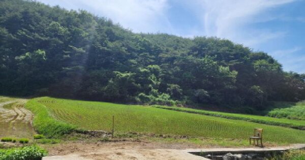 울산광역시 울주군 범서읍 구영리 575-2 답 경매 물건 이미지
