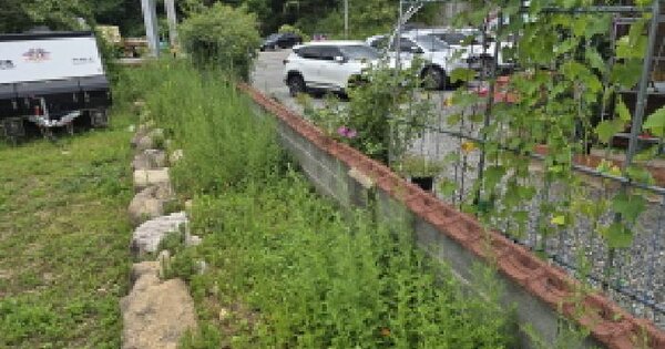 울산광역시 울주군 상북면 궁근정리 1014-1 답 경매 물건 이미지