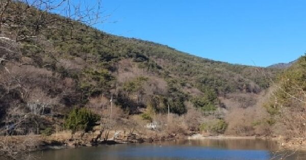 경상남도 창원시 마산합포구 진전면 고사리 산126 임야 경매 물건 이미지