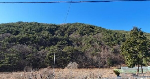 경상남도 창원시 마산합포구 진전면 고사리 산152 임야 경매 물건 이미지