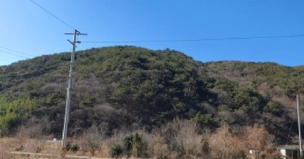 경상남도 창원시 마산합포구 진전면 고사리 산182 임야 경매 물건 이미지