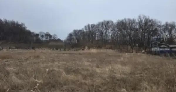 충청북도 진천군 덕산읍 구산리 236-3 답 경매 물건 이미지