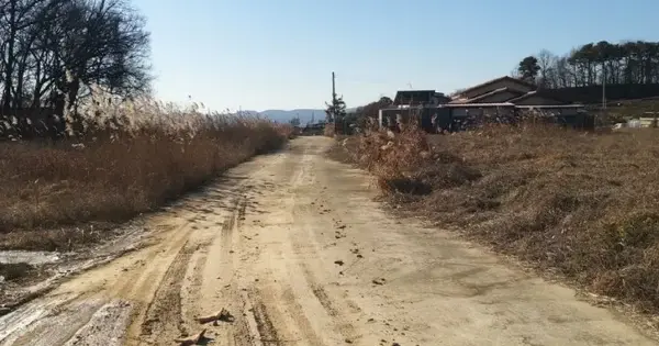충청북도 진천군 덕산읍 구산리 236-6 답 경매 물건 이미지
