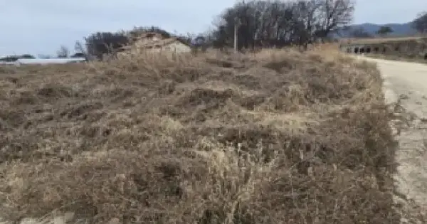 충청북도 진천군 덕산읍 구산리 236 답 경매 물건 이미지