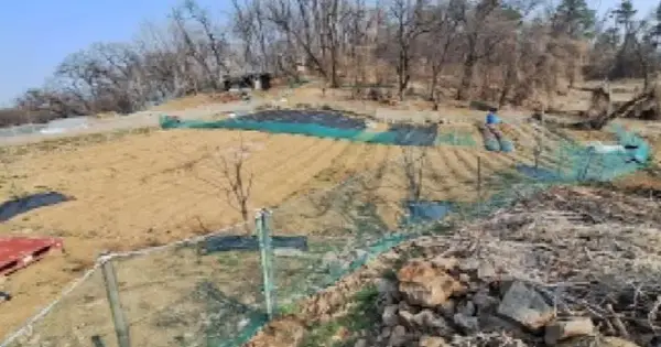 경기도 안산시 상록구 월피동 258-3 답 경매 물건 이미지