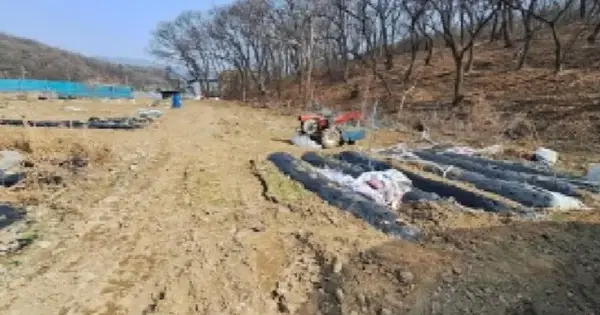 경기도 안산시 상록구 월피동 254-1 전 경매 물건 이미지