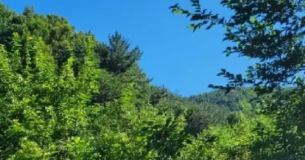 경상남도 의령군 지정면 득소리 645 답 경매 물건 이미지