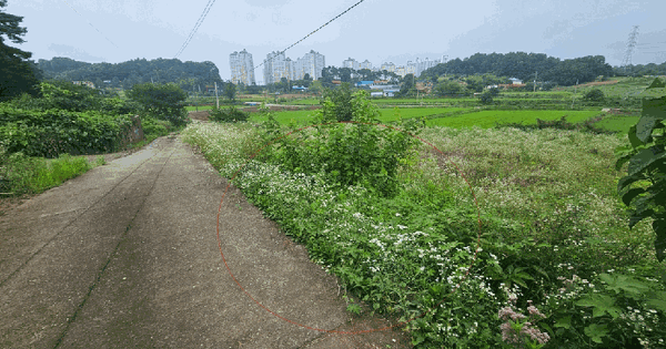 충청남도 당진시 송악읍 가교리 630 답 경매 물건 이미지