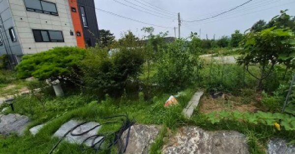 세종특별자치시  장군면 평기리 265-8  미지정 경매 물건 이미지