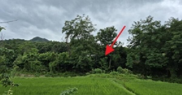 강원특별자치도 원주시 부론면 노림리 186  미지정 경매 물건 이미지