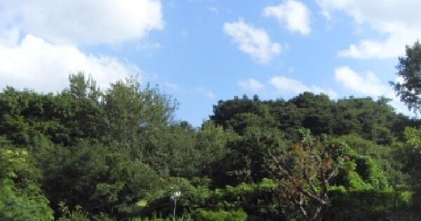 경상북도 칠곡군 가산면 가산리 1172  미지정 경매 물건 이미지