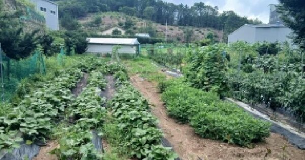 경기도 용인시 처인구 양지읍 주북리 198-1  미지정 경매 물건 이미지