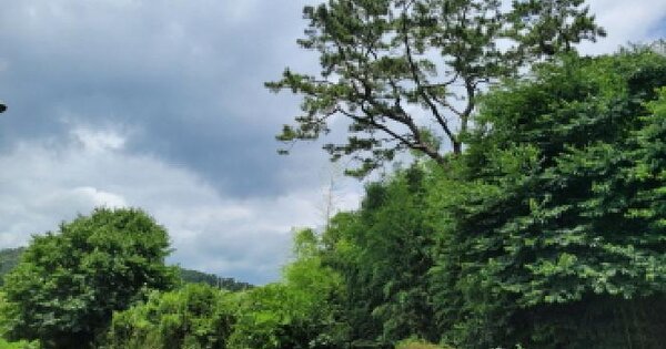 전라남도 보성군 보성읍 주봉리 293  미지정 경매 물건 이미지