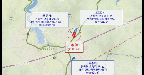 강원특별자치도 화천군 간동면 오음리 산77  미지정 경매 물건 이미지