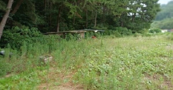 충청남도 서산시 팔봉면 호리 562  미지정 경매 물건 이미지