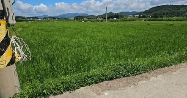 전라남도 해남군 옥천면 성산리 660  미지정 경매 물건 이미지
