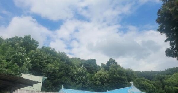 충청남도 공주시 유구읍 만천리 산8  미지정 경매 물건 이미지