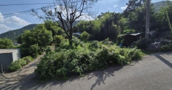 경상북도 경주시 산내면 감산리 2206-2  미지정 경매 물건 이미지