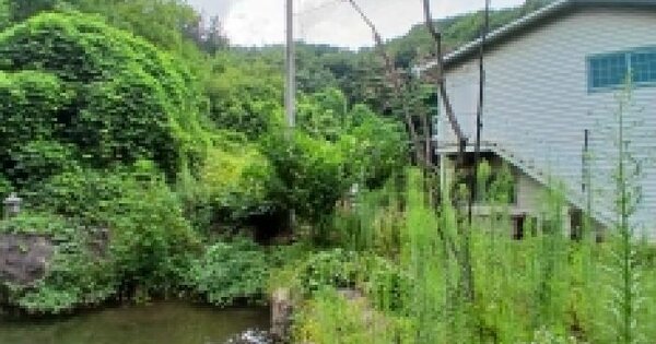 경기도 하남시 천현동 556-1  미지정 경매 물건 이미지