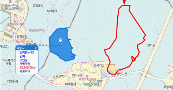 경기도 안산시 단원구 화정동 산86-7  미지정 경매 물건 이미지