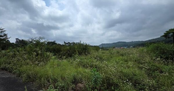 충청남도 홍성군 홍북읍 중계리 137  미지정 경매 물건 이미지