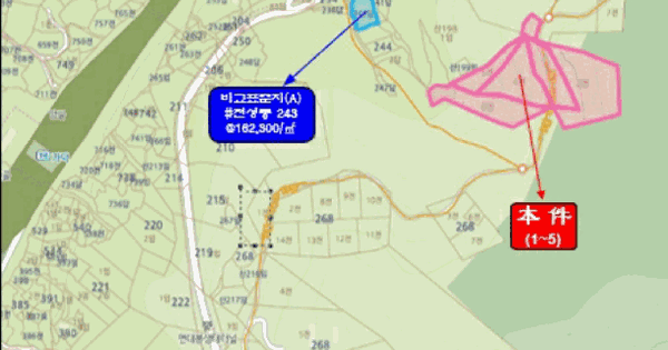 부산광역시 강서구 천성동 246-2  미지정 경매 물건 이미지