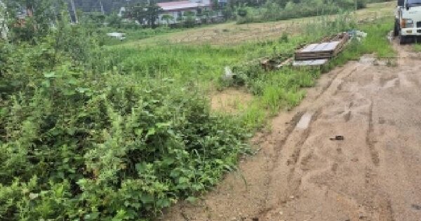 경기도 화성시 효행구 정남면 오일리 384-5  미지정 경매 물건 이미지