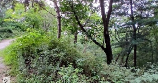 경기도 하남시 배알미동 산138-1  미지정 경매 물건 이미지