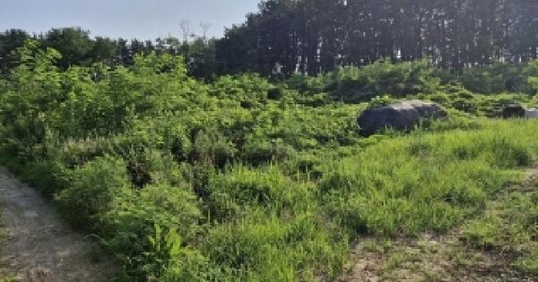 충청남도 서천군 마서면 죽산리 344  미지정 경매 물건 이미지