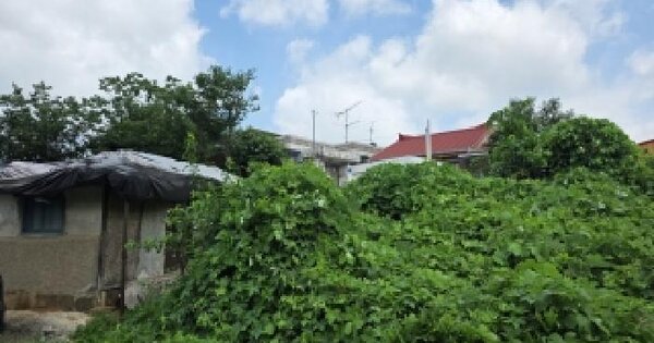 경기도 파주시 금촌동 350-1  미지정 경매 물건 이미지