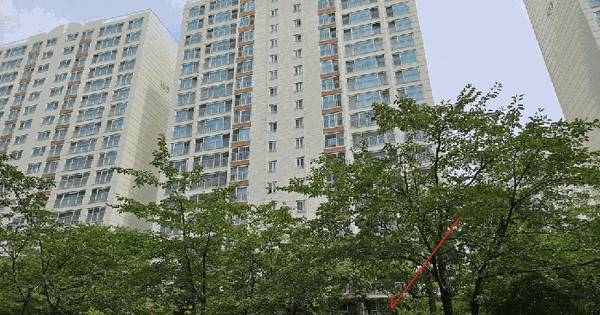경기도 용인시 수지구 성복동 771 버들치마을성복힐스테이트1차 108동 2층201호 미지정 경매 물건 이미지