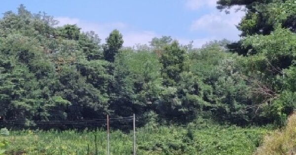 전북특별자치도 남원시 수지면 고평리 산56-3  미지정 경매 물건 이미지