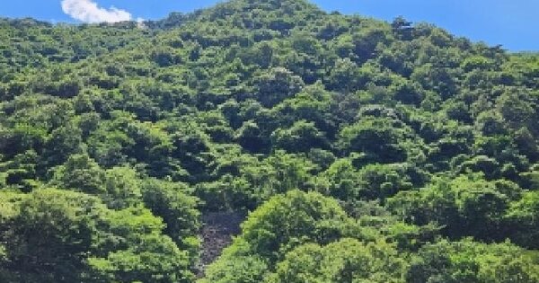 경상북도 영천시 괴연동 산154-1  미지정 경매 물건 이미지