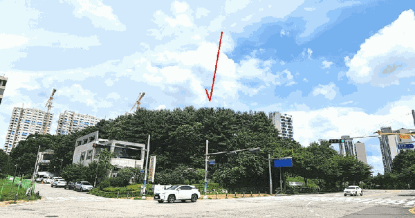경기도 안양시 동안구 관양동 1787-2  미지정 경매 물건 이미지