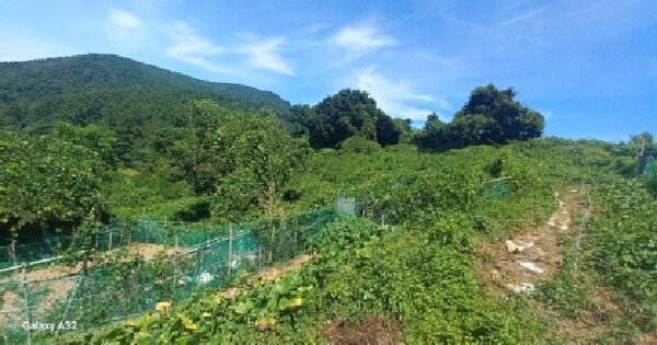 경상남도 거제시 장승포동 37-1  미지정 경매 물건 이미지