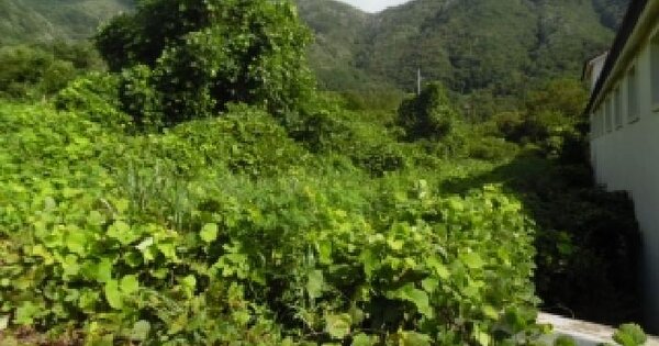 전북특별자치도 완주군 운주면 산북리 1073-5  미지정 경매 물건 이미지