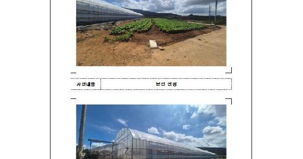 전남광주통합특별시 무안군 현경면 현화리 132-14  미지정 경매 물건 이미지
