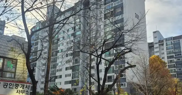 경기도 성남시 분당구 수내동 73 푸른마을 301동 1층105호 아파트 경매 물건 이미지