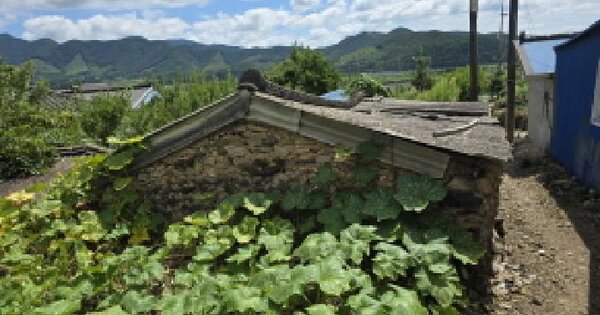 전남광주통합특별시 장흥군 안양면 모령리 413-2  미지정 경매 물건 이미지