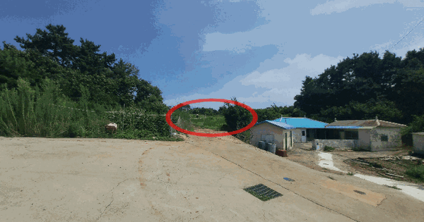 충청남도 보령시 오천면 원산도리 1017  미지정 경매 물건 이미지
