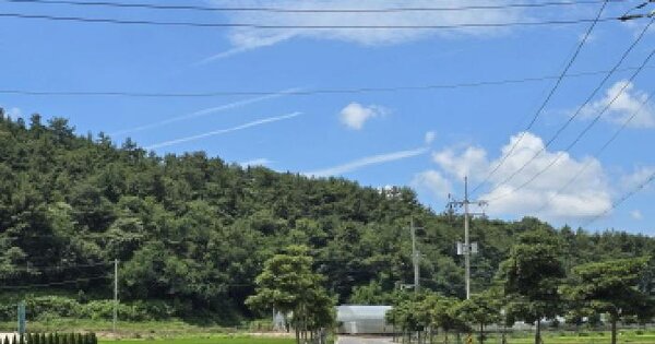 전남광주통합특별시 장흥군 회진면 덕산리 산4  미지정 경매 물건 이미지